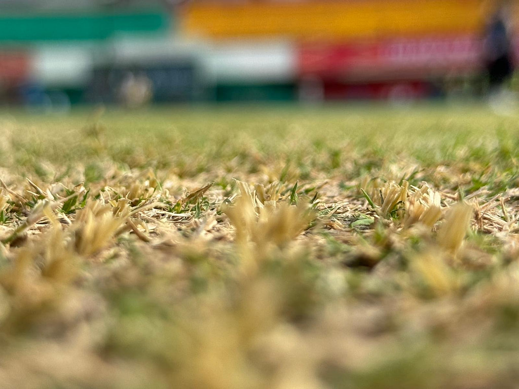 close-up of hybrid cricket wicket in India