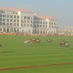 SIS Pitches, Al Habtoor Polo Resort, Dubai Polo, middle east synthetic turf, artificial grass