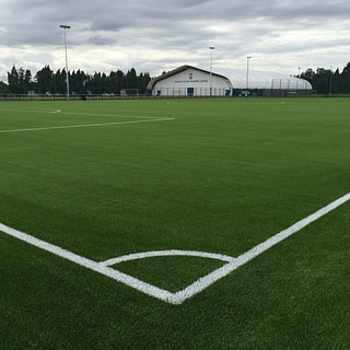 Ipswich Town FC outdoor, sports clubs,hybrid, grass, turf, pitch