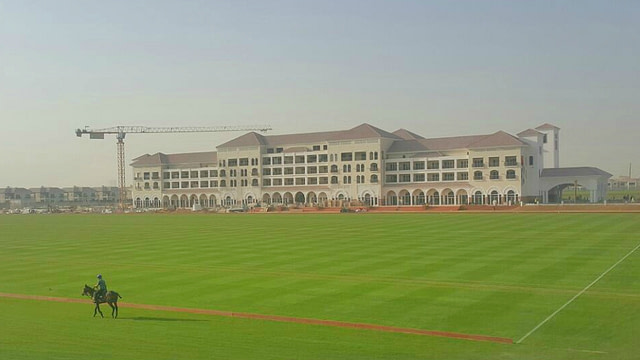 SIS Pitches, Al Habtoor Polo Resort, Dubai Polo, middle east synthetic turf, artificial grass