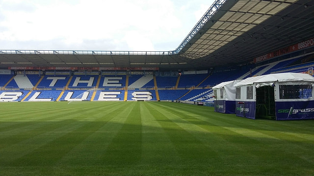 Birmingham, hybrid, pitch turf, artificial grass, revolutionary pitch, FIFA World Cup, SISGrass, Stadium