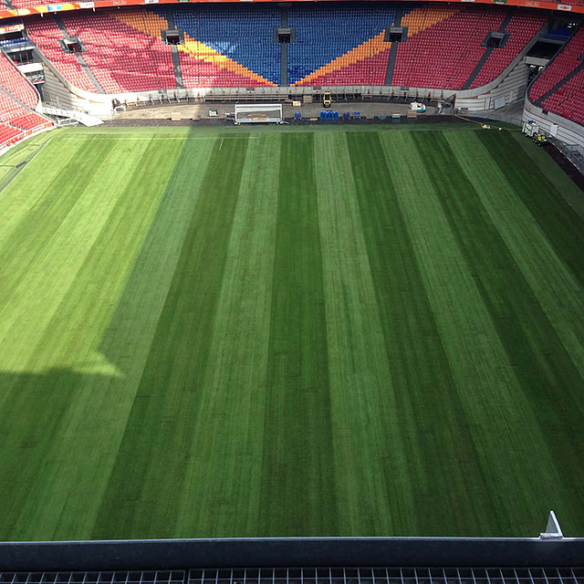 Amsterdam Arena, Natural turf, pitch, grass, sports