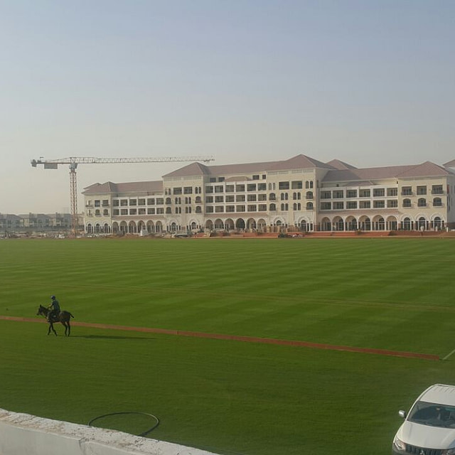 Habtoor Polo Pitch Dubai, Natural turf, pitch, grass, sports