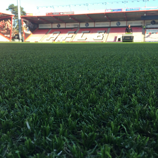 Hybrid pitch, grass, reinforced grass, hybrid technology, A.F.C Bournemouth, SISGrass