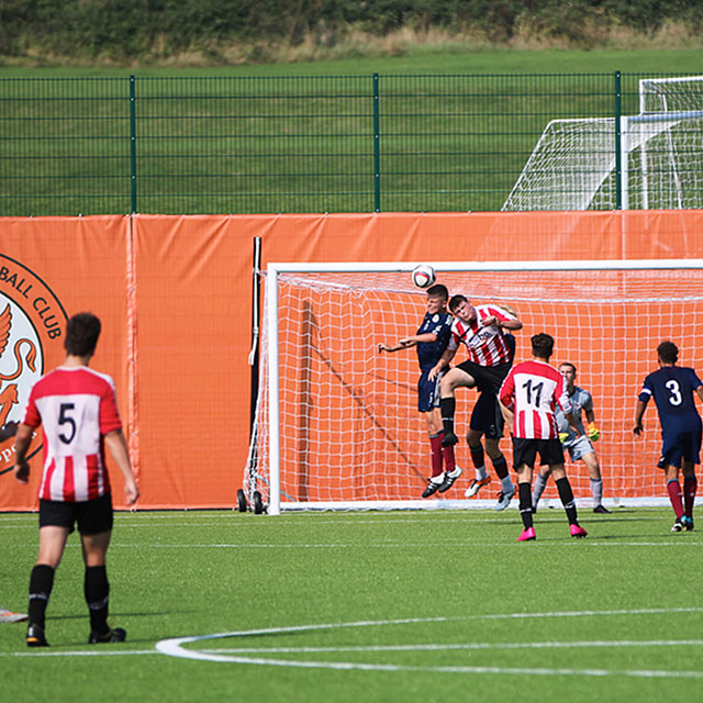 Synthetic, sisturf, grass, artificial pitch, field, Rugby town