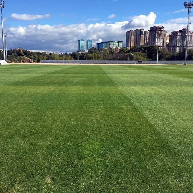 Spartak, Moscow, synthetic pitch, artificial turf, natural turf pitch