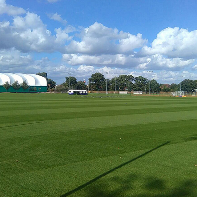 SISGrass, Hybrid pitch, grass, reinforced grass, hybrid technology, Fulham FC Training Ground