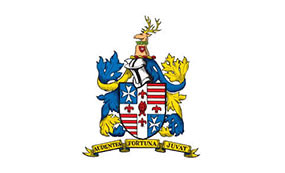 3G pitch, Rugby Union team, Rosslyn Park, synthetic pitch, artificial turf, natural turf pitch