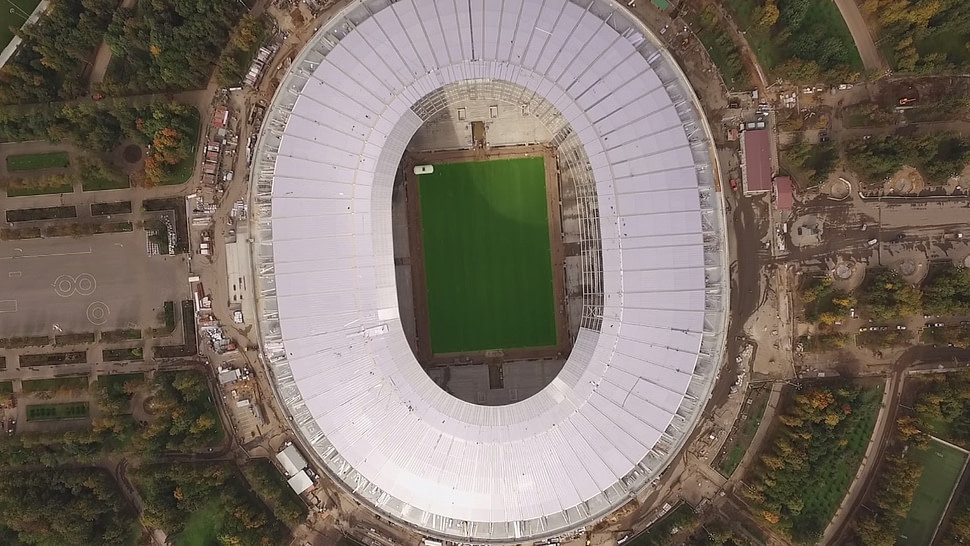 World Cup final 2018, SIS Pitches, Luzhniki Stadium, Moscow, SISGrass, Hybrid turf