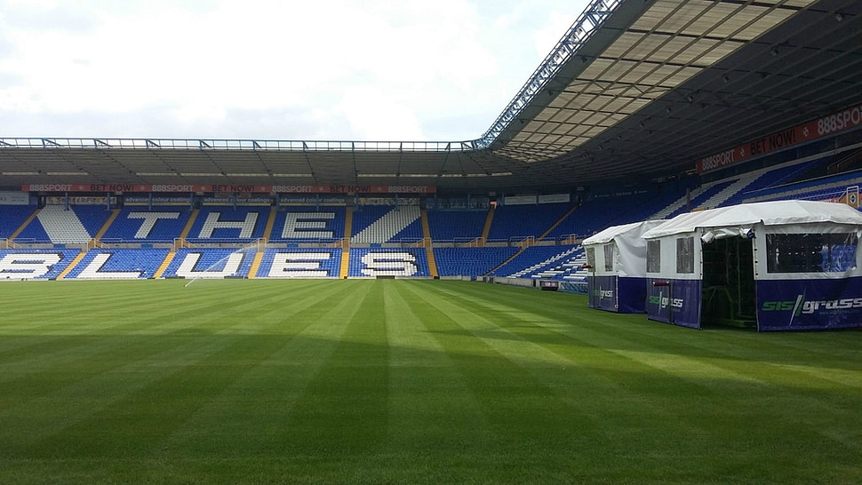 Birmingham, hybrid, pitch turf, artificial grass, revolutionary pitch, FIFA World Cup, SISGrass, Stadium